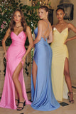 Amoris Evening Gowns T102