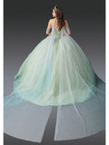 Dancing Queen Quinceañera Dress 1950