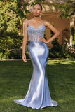 Amoris Evening Gowns T819