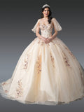 Dancing Queen Quinceañera Dress 1926