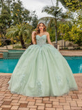 Dancing Queen Quinceañera Dress 1893