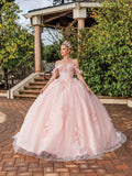 Dancing Queen Quinceañera Dress 1883