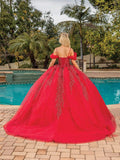 Dancing Queen Quinceañera Dress 1873