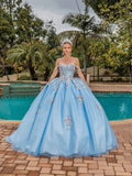 Dancing Queen Quinceañera Dress 1845
