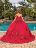 Dancing Queen Quinceañera Dress 1811