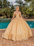 Dancing Queen Quinceañera Dress 1804