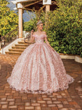 Dancing Queen Quinceañera Dress 1734