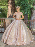 Dancing Queen Quinceañera Dress 1559