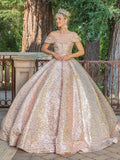 Dancing Queen Quinceañera Dress 1559