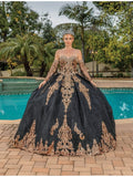 Dancing Queen Quinceañera Dress 1512