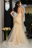 Mayqueen Evening Gown RQ8089