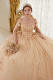 LaDivine by Cinderella Divine Quinceanera Dress 15702