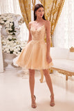LaDivine by Cinderella Divine Dama Dress CD0213