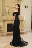 MayQueen Evening Gowns RQ8197