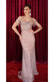 MayQueen Evening Gowns RQ8193