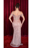MayQueen Evening Gowns RQ8193