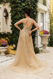MayQueen Evening Gowns RQ8143