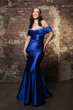 MayQueen Evening Gowns RQ8189