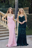 Juliet Evening Gowns JT2406