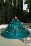 MayQueen  Quinceañera Dress LK300