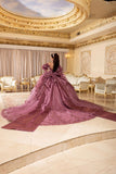 MayQueen  Quinceañera Dress LK310