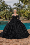 Dancing Queen Quinceañera Dress 1890