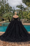 Dancing Queen Quinceañera Dress 1890