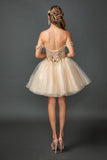Dancing Queen Dama Dress 3408