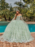 Dancing Queen Quinceañera Dress 1852