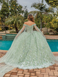 Dancing Queen Quinceañera Dress 1852