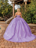 Dancing Queen Quinceañera Dress 1813
