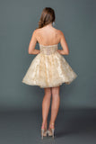 Dancing Queen Dama Dress 3436