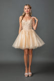 Dancing Queen Dama Dress 3431