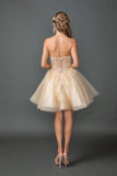 Dancing Queen Dama Dress 3431