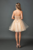 Dancing Queen Dama Dress 3430