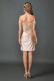 Dancing Queen Evening Gowns 3429