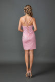 Dancing Queen Evening Gowns 3429