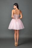 Dancing Queen Dama Dress 3424