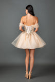 Dancing Queen Dama Dress 3423