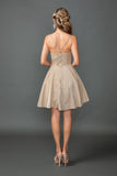 Dancing Queen Dama Dress 3421