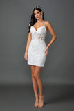 Dancing Queen Wedding Gown 0329