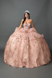 Dancing Queen Quinceañera Dress 5133