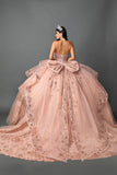 Dancing Queen Quinceañera Dress 5133