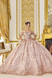 Dancing Queen Quinceañera Dress 5107