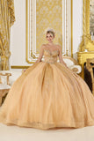 Dancing Queen Quinceañera Dress 5078