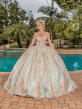 Dancing Queen Quinceañera Dress 1854
