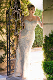 Lenovia Evening Gowns 8422