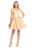 Let’s Dama Dress 6263L