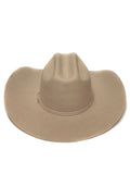 Ariat 3X Silver Belly Premium Wool Felt Hat