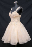 Chicas Evening Gowns C372